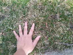 Touch grass. Unwind. Unplug. Watch the world blow up. 

#openseatouchgrass