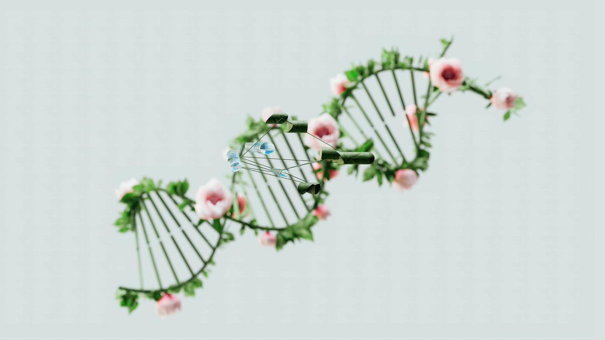 Biotechnology: More Than Biology and Technology

How is this powerful field changing healthcare, food, and even ethics?

Join the discussion now: medboundhub.com/t/biotechnolgy…

.
.
.
.

#MedboundHub #Medical #Biotechnology #DiscussionPost #MBBS #NEET2025