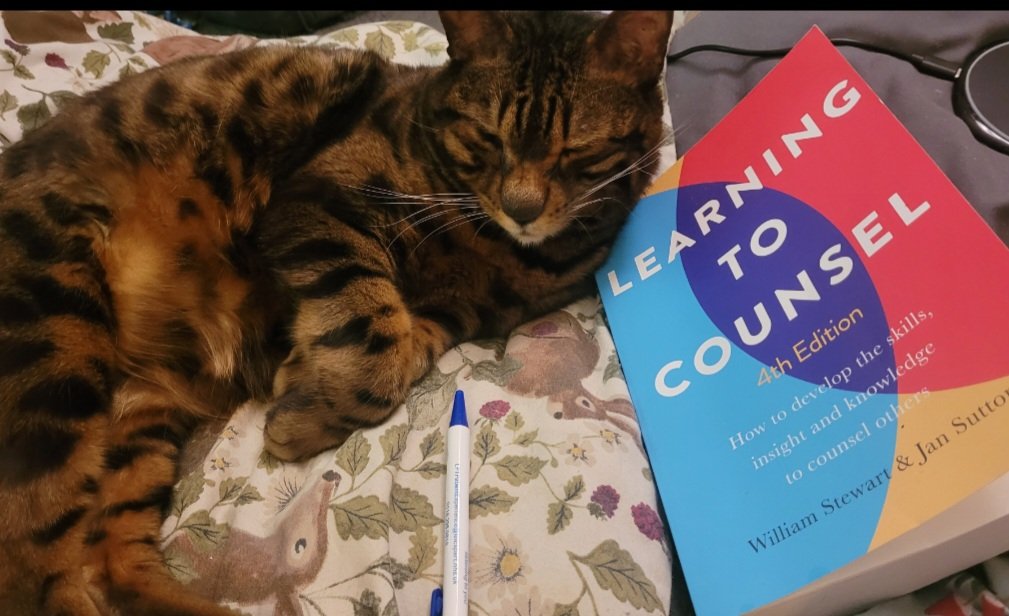 #RickysWalkies for best Study Buddy...Benji Bear who has been my rock of support ❤️ he's been my cheerleader and comfort cat through all my studies to helping me get to finish line. Thank you Benji Bear.  I loves you ❤️🐾🐾🐻