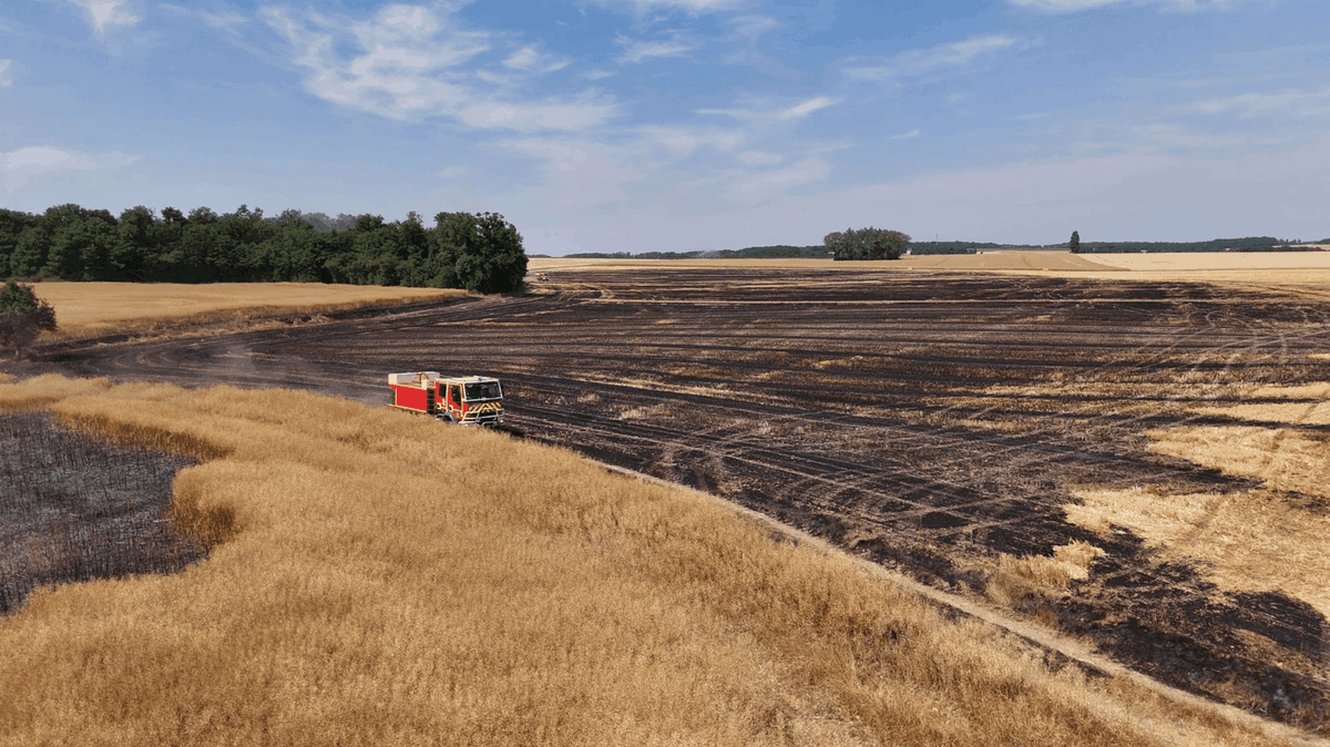 Nouvel incendie ce vendredi 20 juin dans un champ d'orge, à Saint-Maurice-sur-Aveyron, dans le Loiret. Le feu a parcouru 20 hectares de chaume avant d'être fixé.

france3-regions.franceinfo.fr/centre-val-de-…