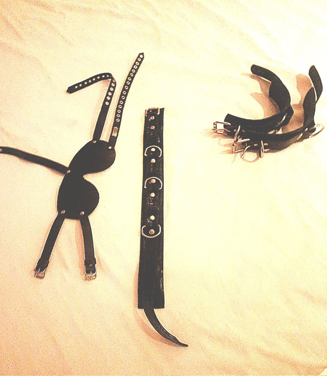 Dia de dominação, Colegas de Sado.

Tenho uma ligação especial com essa escrava loira siliconada. Muita química. Foram três horas dela amarrada, totalmente submissa aos meus comando, e tendo orgasmos múltiplos nas minhas mãos. Fiz tudo que quis e um pouco mais. 

Ela saiu exausta