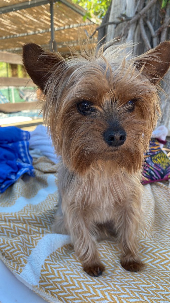 Ülke &amp; dünya gündeminden uzaklaştıran tek şey ektedir ;