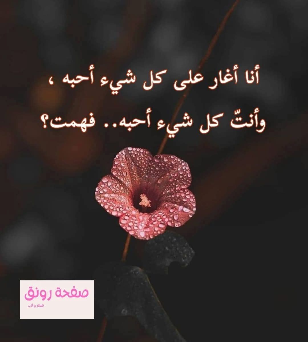 ومن حرفي أغَارُ إذا ذُكِرتِ
كأنّك من كلامي قد ظهرتِ
أغارُ إذا رأيتُك من عيوني
ومن قلبي ، أما فيه سكنتِ ؟
إذا ما مرّ وجهكِ في خيالي
كأنّكِ في دِمائي قد مررتِ
أكاد اذا ذكرتكِ  بين نفسي
أعانقُ من لظى الأشواق صمتي