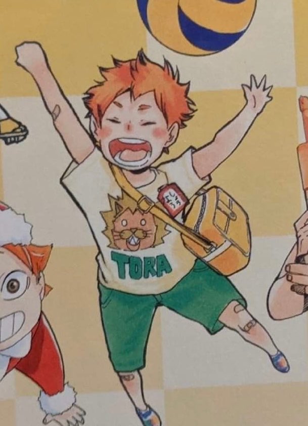 hinata shoyo truther tweet media