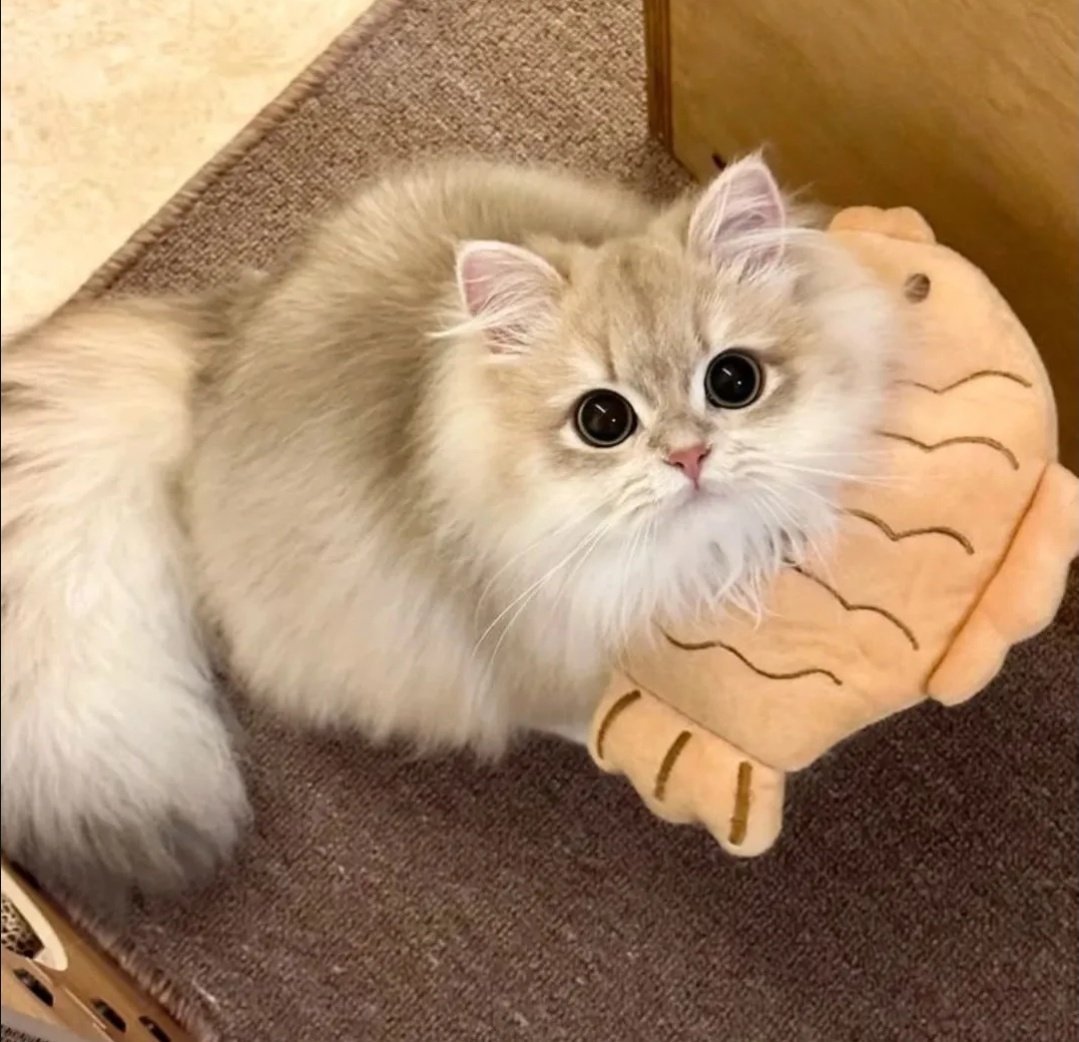 Feliz Viernes Gente Bonita ☺️