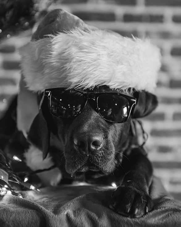 Our biggest sale of the year is coming back. Christmas in July. Gear, apparel, and footwear are all going on sale. Stock up for the summer or get yourself that ruck you’ve been eyeing. 
Also, Tribe gets early access deals. Because showing up should come with perks.