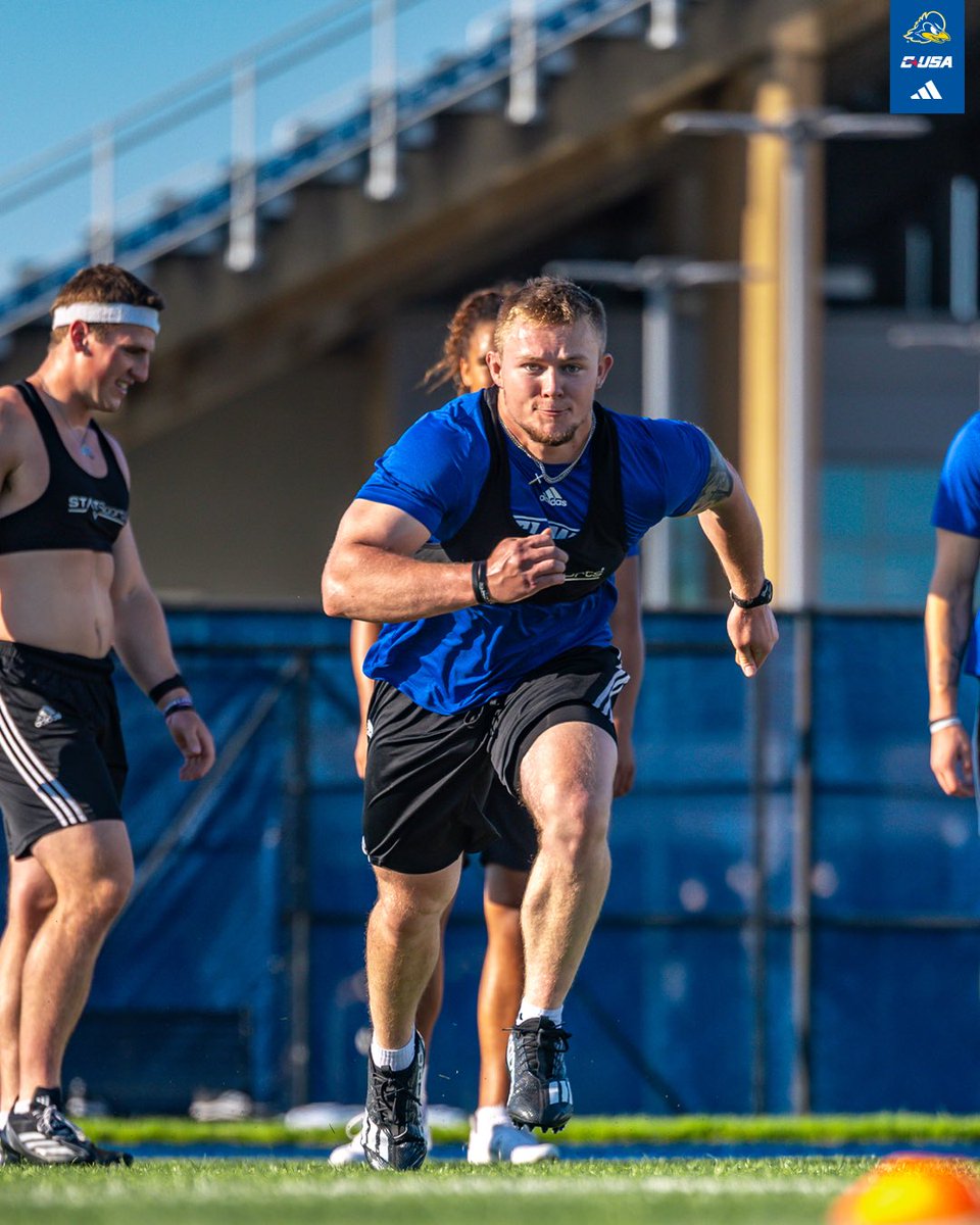 Delaware Football tweet media