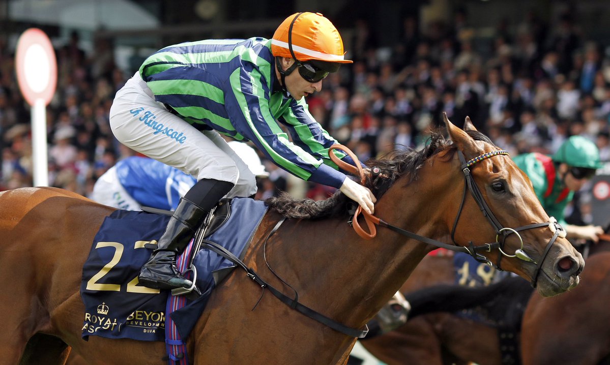 EBN (@bloodstocknews) on Twitter photo Royal Ascot Group 1 winner for <a href="/BallyhaneStud/">Ballyhane Stud</a>’s Sands Of Mali as the Ballyhane-bred 3yo filly TIME FOR SANDALS (Ire) wins the Commonwealth Cup <a href="/Ascot/">Ascot Racecourse</a> 🏆
This top-class filly delivers a second Group 1 win of the week at the Royal Meeting for trainer <a href="/H_Eustace/">Harry Eustace</a>, following the Royal Ascot Group 1 winner for <a href="/BallyhaneStud/">Ballyhane Stud</a>’s Sands Of Mali as the Ballyhane-bred 3yo filly TIME FOR SANDALS (Ire) wins the Commonwealth Cup <a href="/Ascot/">Ascot Racecourse</a> 🏆
This top-class filly delivers a second Group 1 win of the week at the Royal Meeting for trainer <a href="/H_Eustace/">Harry Eustace</a>, following the