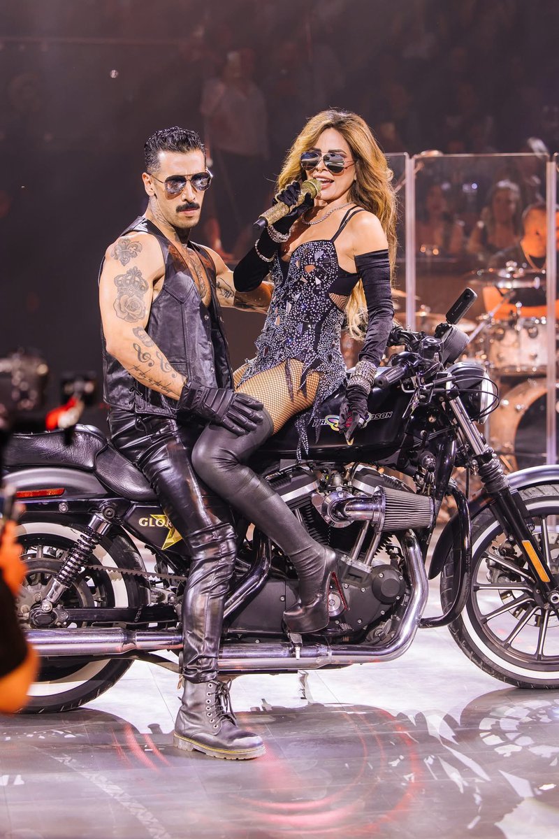 Trevilanders Oficial tweet media