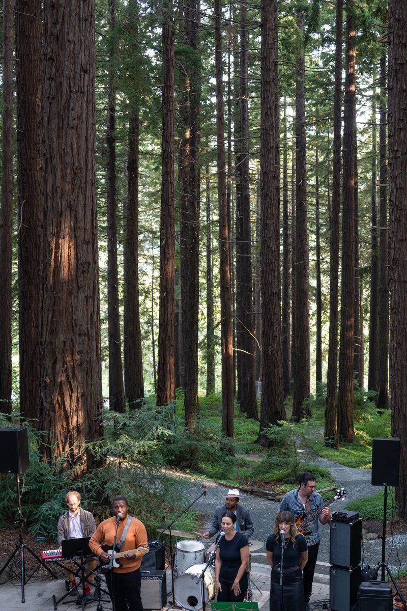 TrvlTasteTour's tweet image. Chill by the Bay in Berkeley! 🌬️ Off-season rates, foodie legends, walkable charm, and breezy weather make this the perfect summer escape.
#BerkeleyCA #CoolByTheBay #SummerGetaway #BayAreaBasecamp