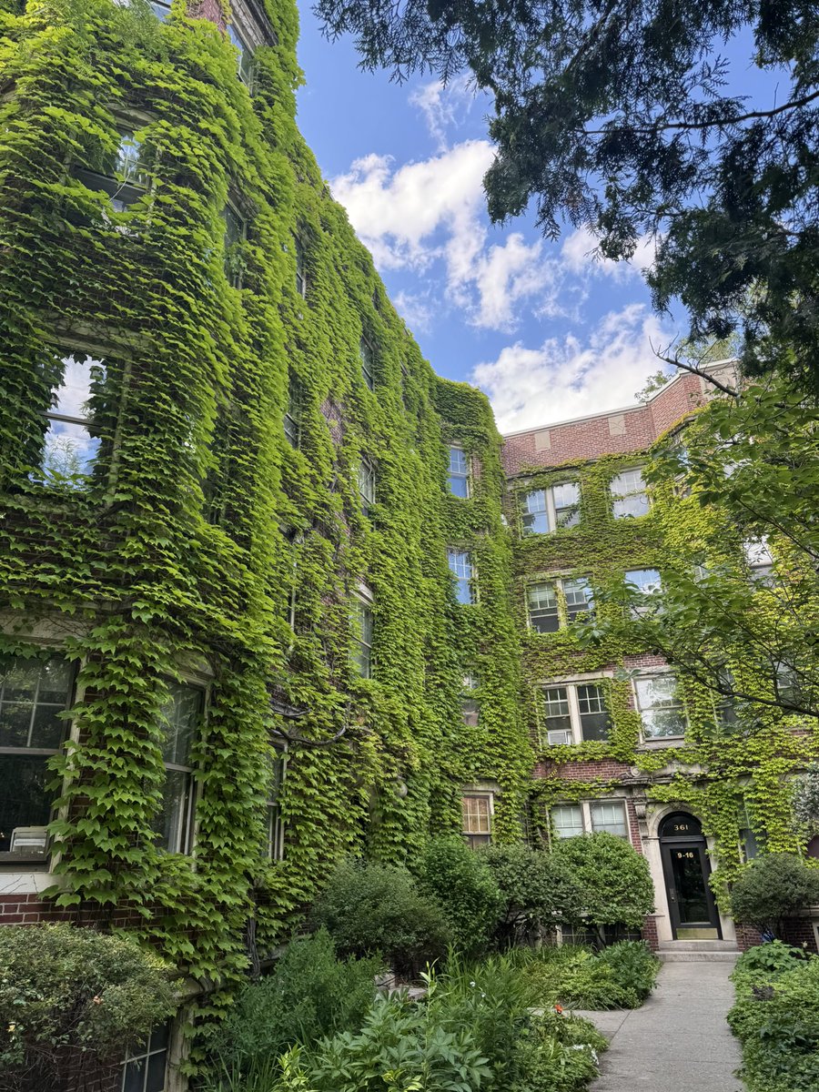 ElliotHershberg's tweet image. I was in Boston this week for BIO.
As a SF Biohub maximalist, I’ve got to admit: the summer vibes in Cambridge are immaculate.
It’s hot and humid, but the street canopy provides some shade.
People escape their stuffy brownstones to lounge in the park.
Conversations about…
