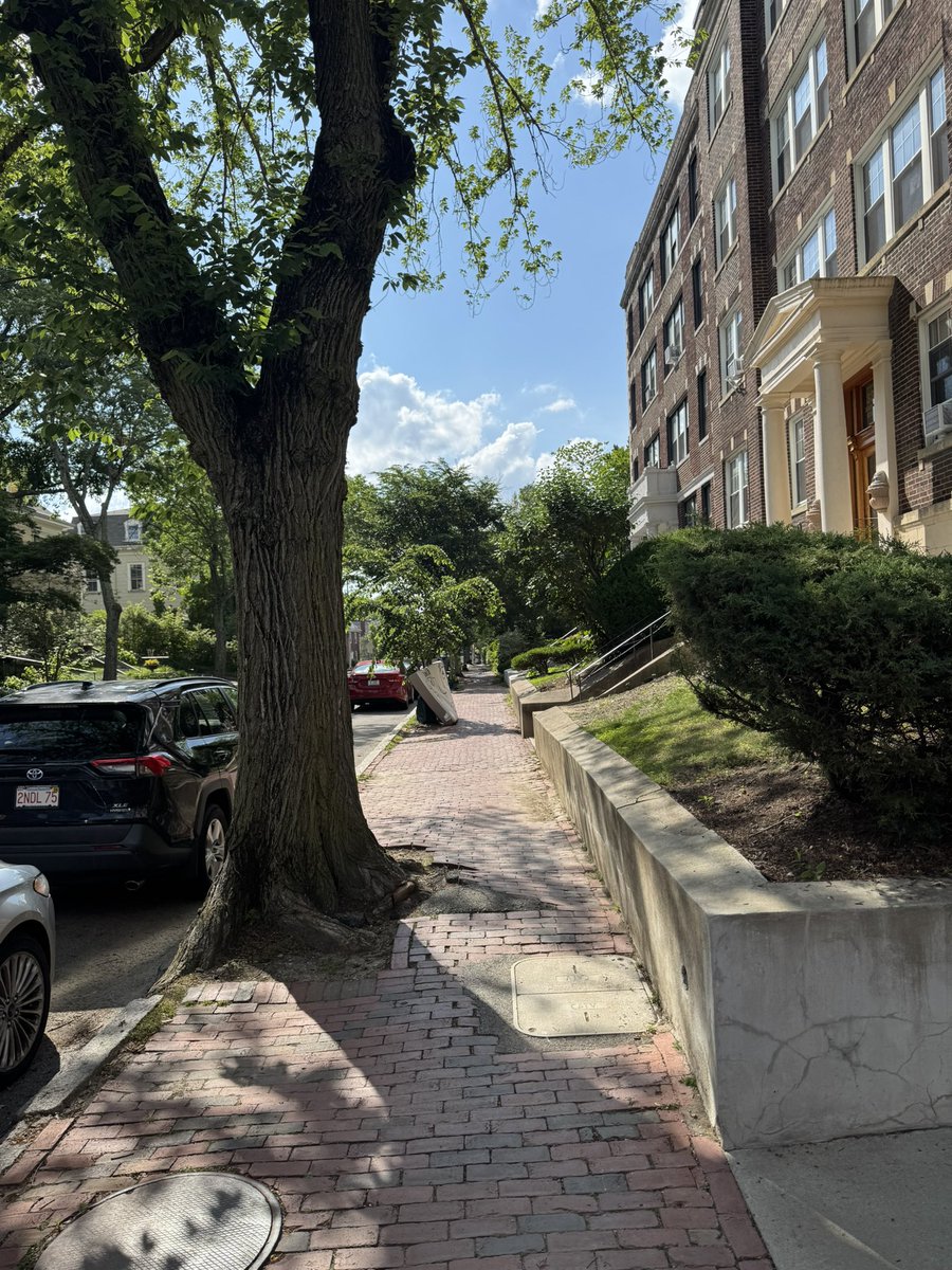 ElliotHershberg's tweet image. I was in Boston this week for BIO.
As a SF Biohub maximalist, I’ve got to admit: the summer vibes in Cambridge are immaculate.
It’s hot and humid, but the street canopy provides some shade.
People escape their stuffy brownstones to lounge in the park.
Conversations about…