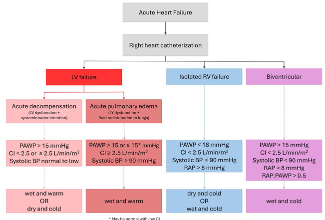 🆕 Cateterismo cardíaco derecho en la insuficiencia cardíaca: Indicaciones, interpretación y dificultades.

📕 Eur Heart J
📁 Resumen del artículo en cardioteca.com/insuficiencia-…
