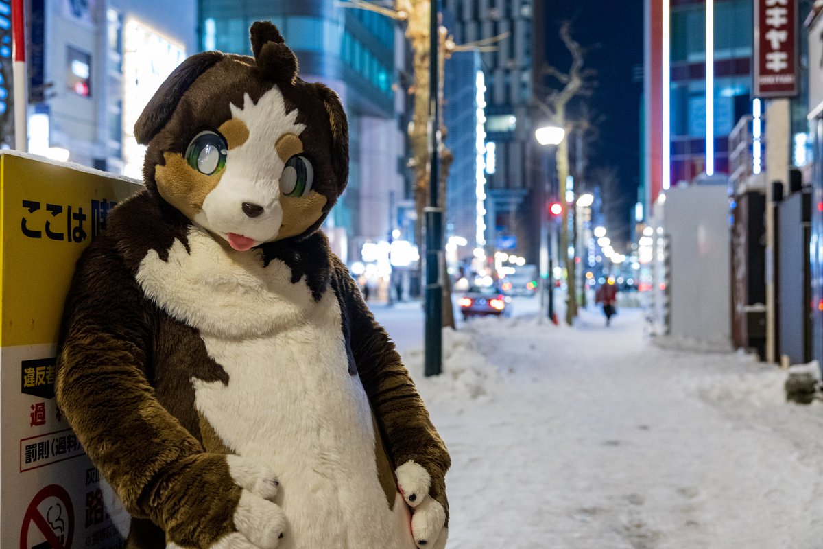 #暑すぎるので雪の画像で涼もう見た人もやる
(📷:<a href="/jason21716/">沙鷗 Sa'O / 巴斯克 Basik ➡️ ちるこん2025 ➡️ 以茶會毛2025</a>)