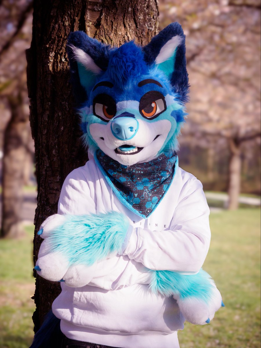 The weather is lovely today, let’s enjoy it outside together :3 #FursuitFriday

📸 <a href="/luckybluefox/">Lucky</a> (edited: <a href="/darkDrakee/">Drakee</a>)