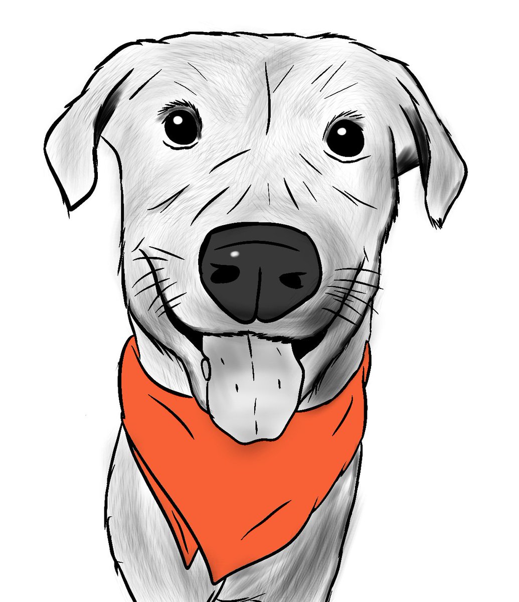 Doggo sketch :) #doggo #dogs 

Drawing fur is the worst, even with brushes :P