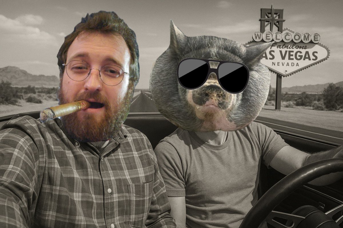 NIKEPIG is coming to <a href="/RareEvo/">Rare Evo: A Blockchain Event</a> 🐷✨

We're pulling up with good vibes, good pigs, and a ton of fun stuff for you to win!

Come hang out with us and enjoy:

- Fun games with real prizes 🎁
- Score limited drops at our giveaways
- Win $NIKEPIG merch, NFTs, Crypto Sockz &amp; Quacku gear