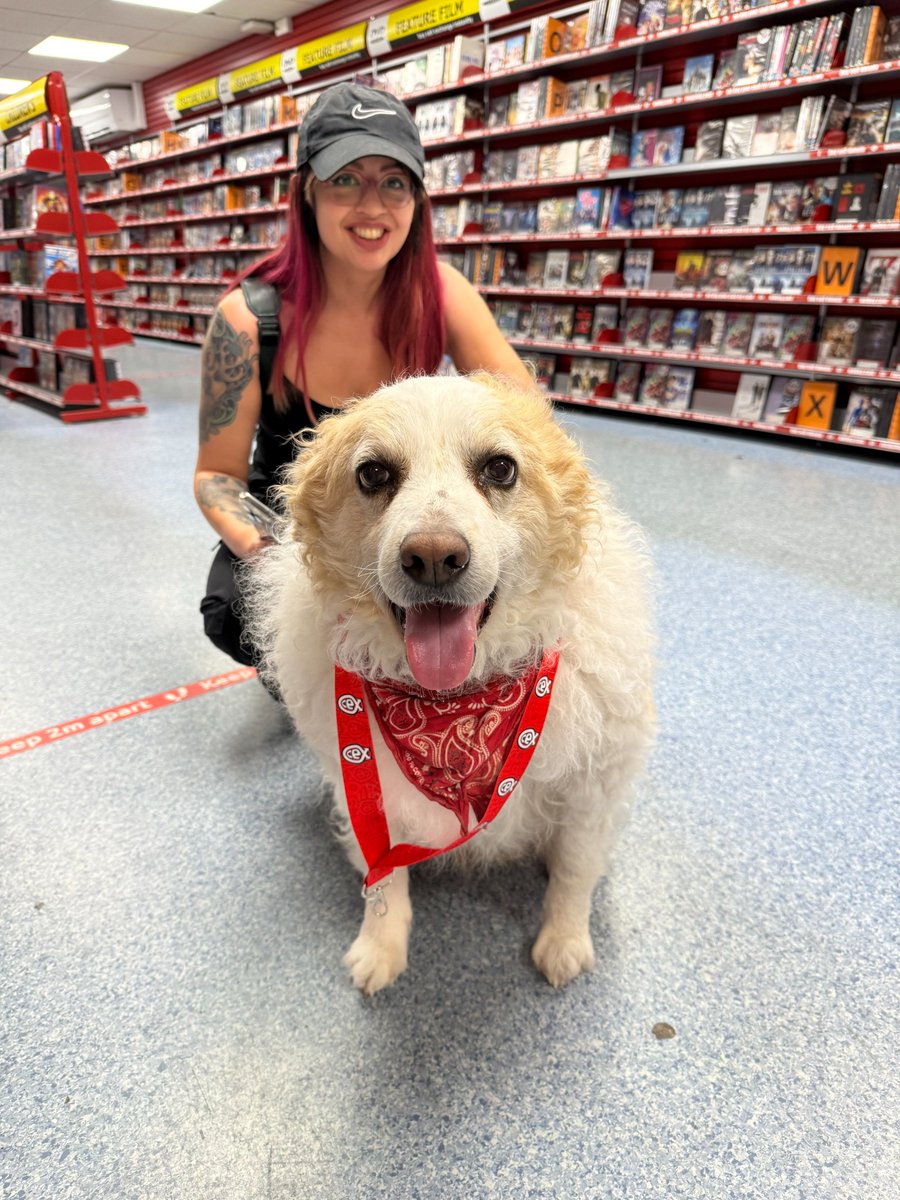 TeamEndpoint's tweet image. Happy Bring Your Dog to Work Day! 🐶
We had the pleasure of meeting ‘Snow’, who joined us for a fun content shoot.
#BringYourDogToWorkDay