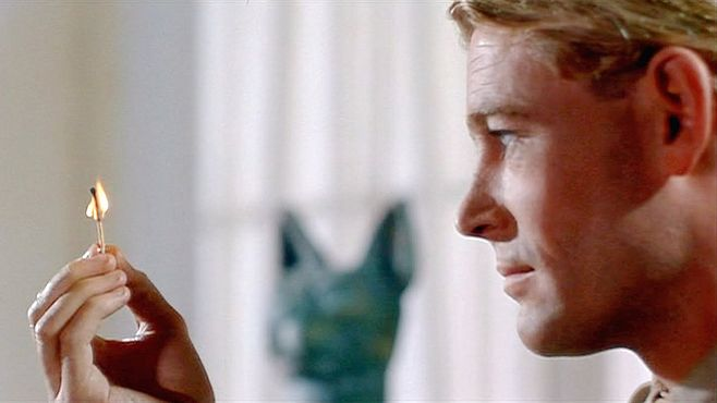 JW🛡️ tweet media