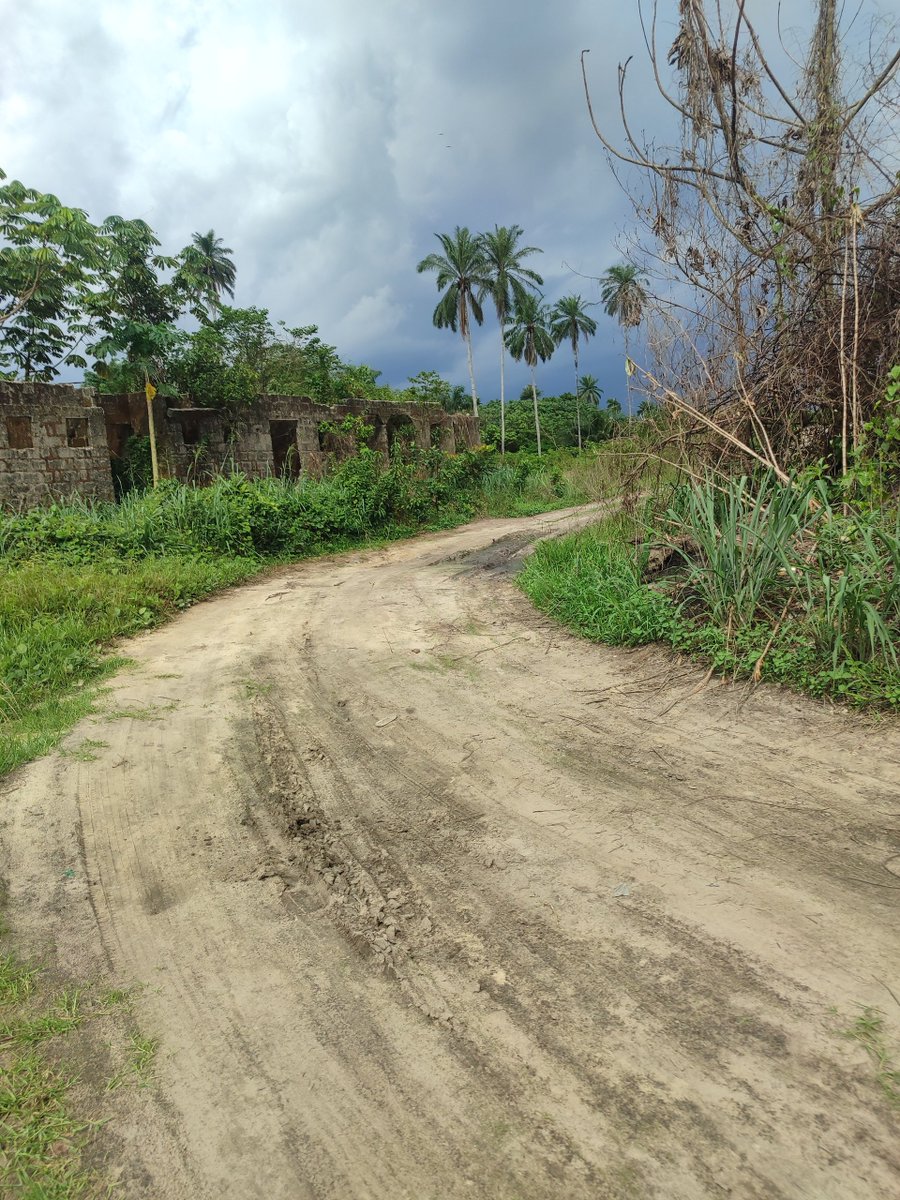 TrackaNG's tweet photo. N40m was allocated to the Repairs of 3km Cementry and Adjourning Roads, Ohorhe 2, Delta in the 2024 FG Budget.

We gathered that this road was graded early last year but has been abandoned since.
We call on @FedRoadsNGR, to ensure this project is completed. https://t.co/xGQ1k53U44