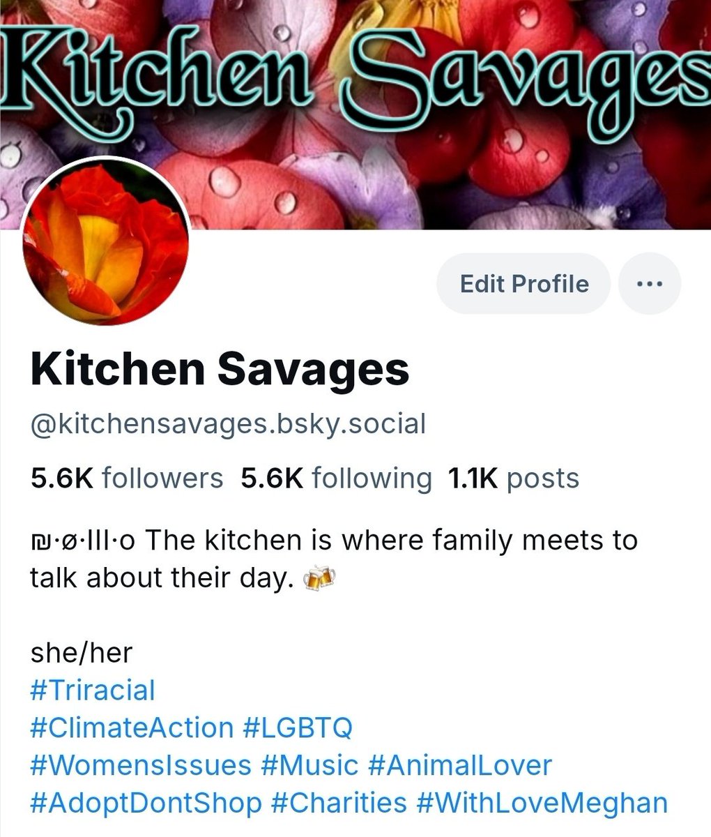 Kitchen Savages tweet media