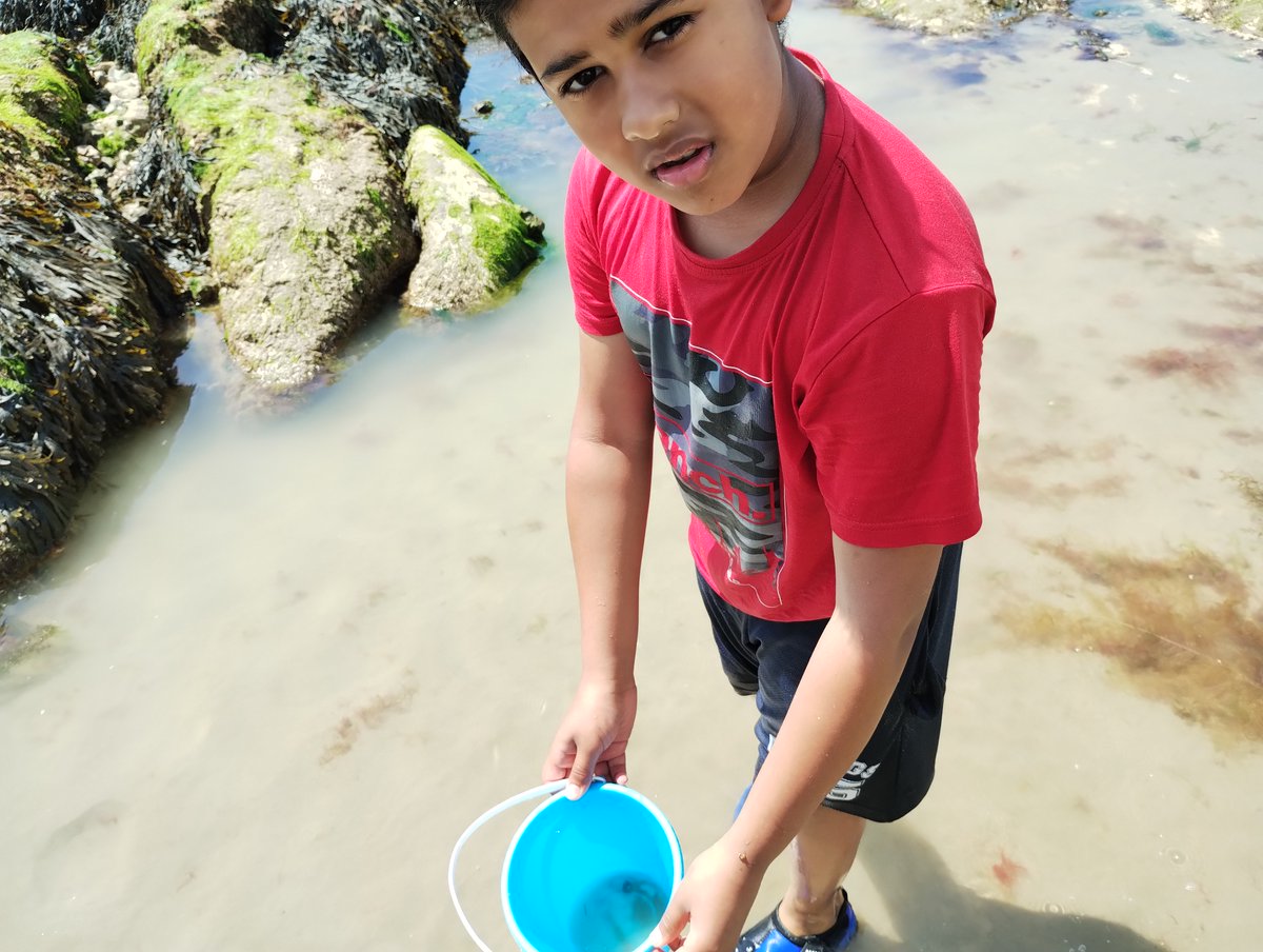 Solebay Primary tweet media