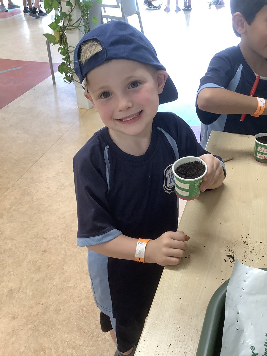 West Ashtead Primary (@westashtead) on Twitter photo Huge smiles all around on our Year 1 visit to <a href="/RHSWisley/">RHS Garden Wisley</a> today! A beautiful day to explore the gardens and learn about plants. πͺ΄π±π΄#WeAreLeo #OutdoorLearning #Science Huge smiles all around on our Year 1 visit to <a href="/RHSWisley/">RHS Garden Wisley</a> today! A beautiful day to explore the gardens and learn about plants. πͺ΄π±π΄#WeAreLeo #OutdoorLearning #Science