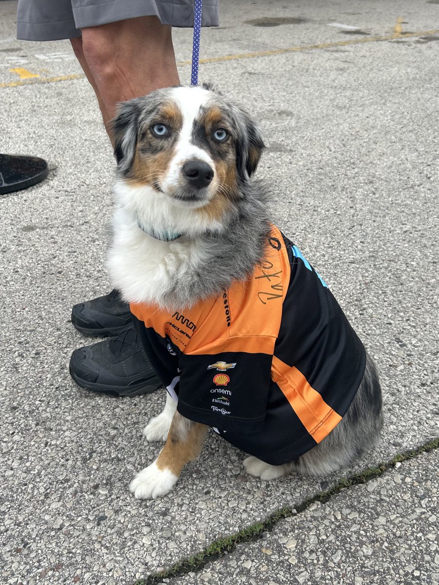 Pawto’s biggest fan. 🥹🐶