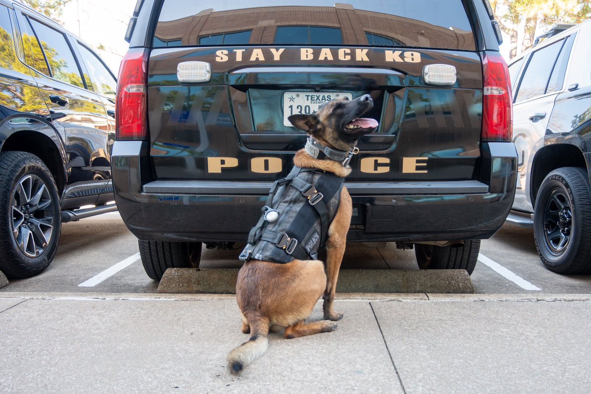 Did you know it's National Take Your Dog to Work Day!?! 🐕🐩🐕‍🦺

We hope you and your four-legged companion look as happy as Fenix does to go to work. Also, a reminder that the minimum wage for working canines in Texas is one pup cup per five hours of work.