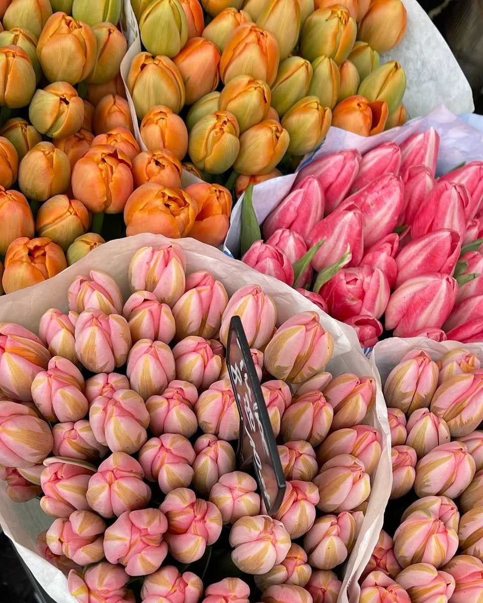 SunnyInSoCal12's tweet image. Feeling cheerful surrounded by all these beautiful tulips. ☀️🌷 #springfeeling #happy #flowers