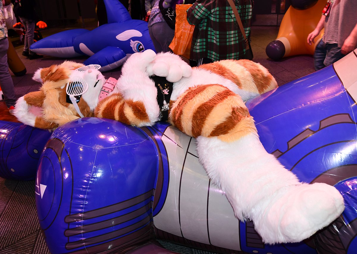 Cat will spend the rest of the day melting
#FursuitFriday

📸: dairishgoat