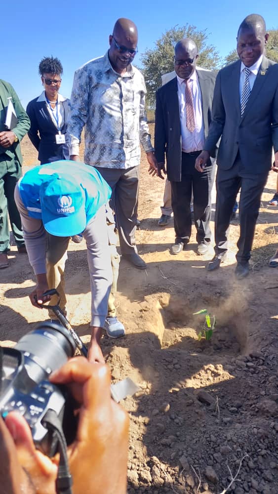 Refugee Coalition for Climate Action (RCCA) (@rcca_youth) on Twitter photo Ahead of #WorldRefugeeDay2025 celebrations in TRS, <a href="/RCCA_Youth/">Refugee Coalition for Climate Action (RCCA)</a> facilitated a tree planting session at the Settlement's Infant School. Five trees (Kenyan Croton, Neem) were planted by the guest of honour and dignitaries from <a href="/mpslswzim/">Ministry of Public Service Labour & Social Welfare</a>, Provincial Affairs, <a href="/Refugees/">UNHCR, the UN Refugee Agency</a> , and <a href="/WFP/">World Food Programme</a> Ahead of #WorldRefugeeDay2025 celebrations in TRS, <a href="/RCCA_Youth/">Refugee Coalition for Climate Action (RCCA)</a> facilitated a tree planting session at the Settlement's Infant School. Five trees (Kenyan Croton, Neem) were planted by the guest of honour and dignitaries from <a href="/mpslswzim/">Ministry of Public Service Labour & Social Welfare</a>, Provincial Affairs, <a href="/Refugees/">UNHCR, the UN Refugee Agency</a> , and <a href="/WFP/">World Food Programme</a>