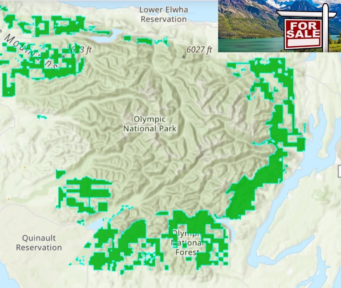 🚨BREAKING: Senate puts “For Sale” Sign on 300,000 acres of the #WildOlympics. FIGHT BACK. Call Senators (202) 224-3121 &amp; Sign petition at WildOlympics.org/wild-olympics-… to tell Congress #publiclands aren’t for sale &amp;  WildOlympics.org/DONATE to fuel our fight. We helped defeat this in