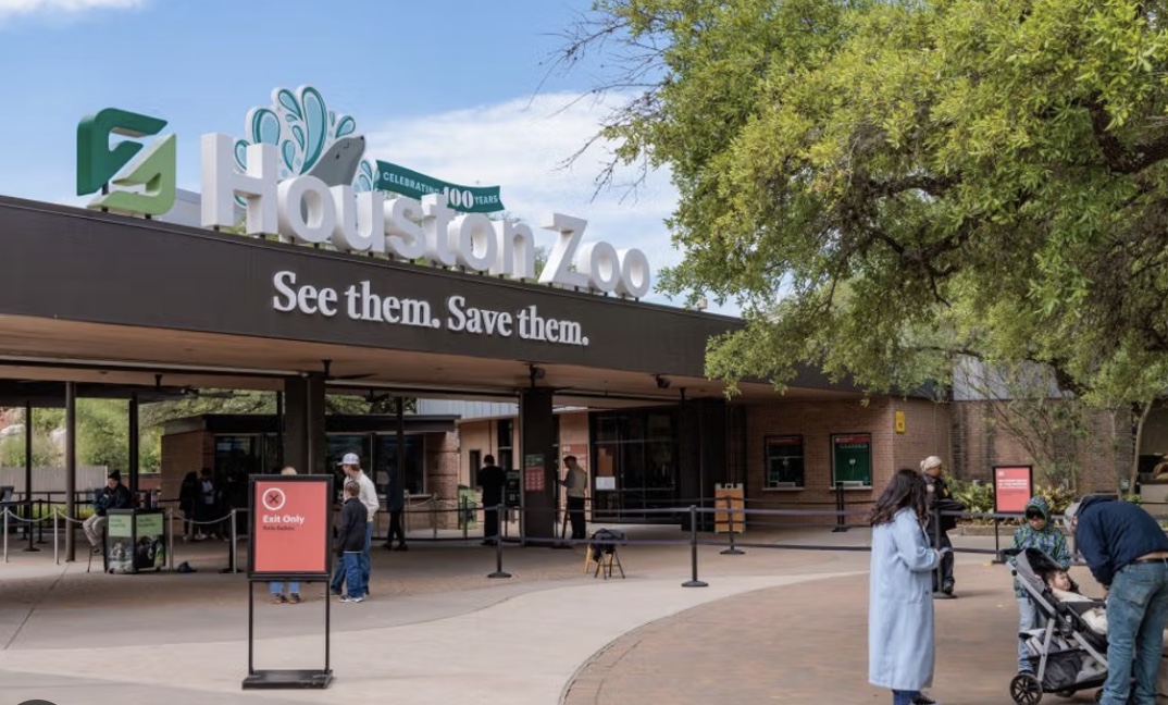 District F has tickets available to the Houston Zoo! Tickets are prioritized for District F residents, with a limit of 5 tickets per household. Please note these tickets do not include Holiday Zoo Lights. Click here to request your zoo ticket: forms.office.com/pages/response…