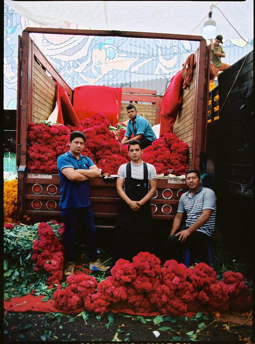 El editorial de flores que hizo <a href="/piariverola/">Pia Riverola</a> en México. Para desmayarse 🫠