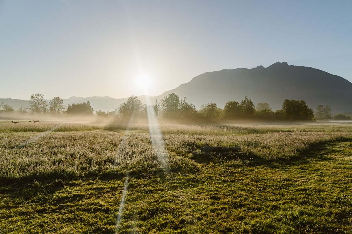 SVSFoundation tweet media