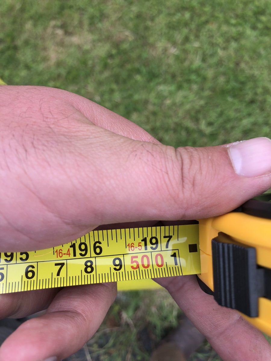 40 years of Goldcrop but the tape goes to 5 meters <a href="/John_Dunne_/">John Dunne</a>