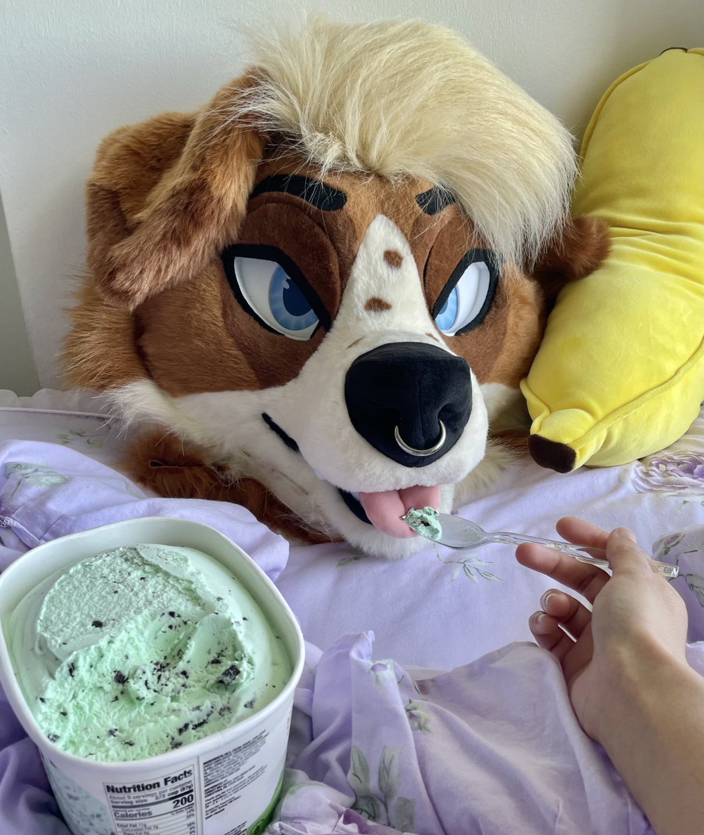 Callie!🔜 FD!! tweet media