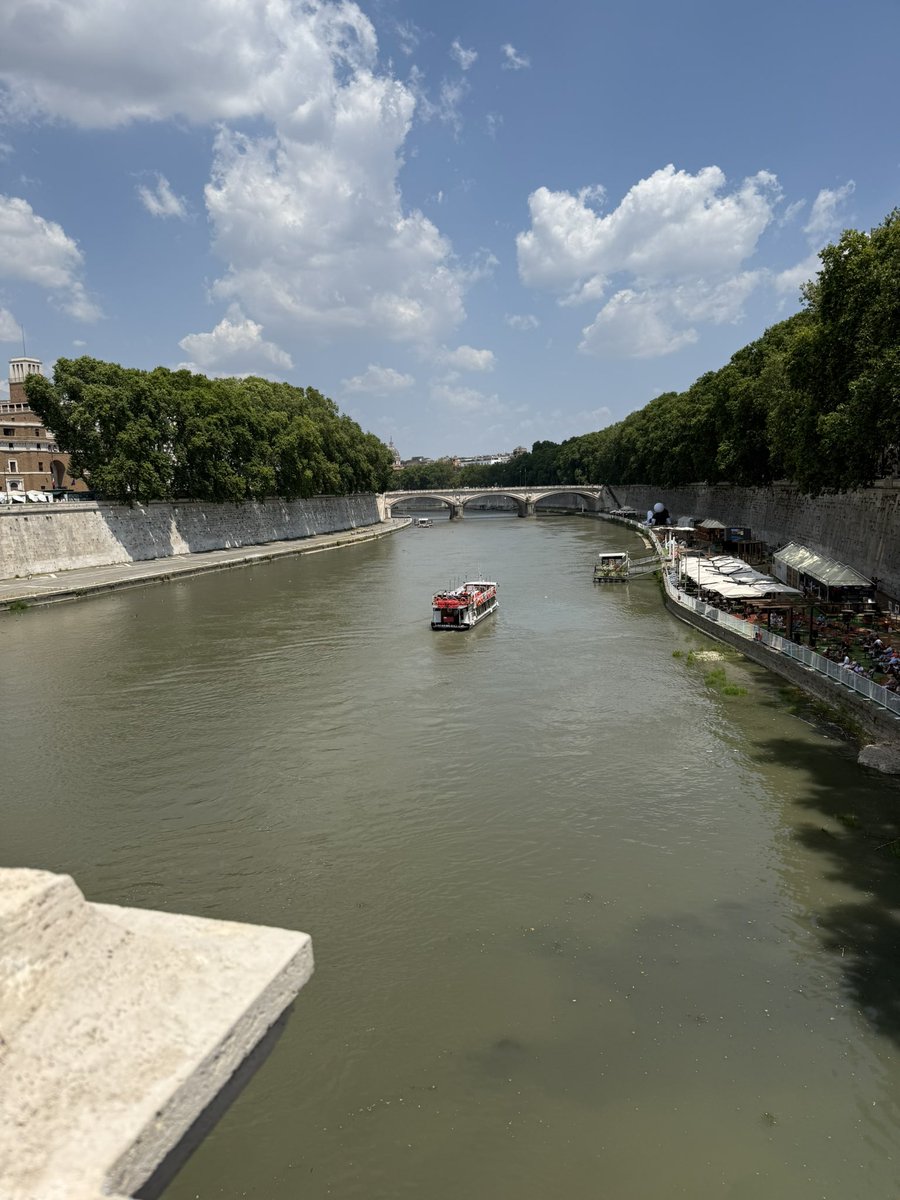 ron_greisch's tweet image. Definitely #rometough @WestLoopTom @mattstegman Chicago River looks great this time of year!