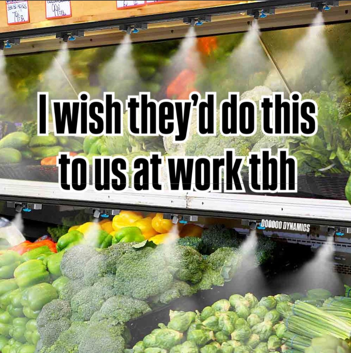 nocontextmemes's tweet photo. https://t.co/tV5KTsiQoc