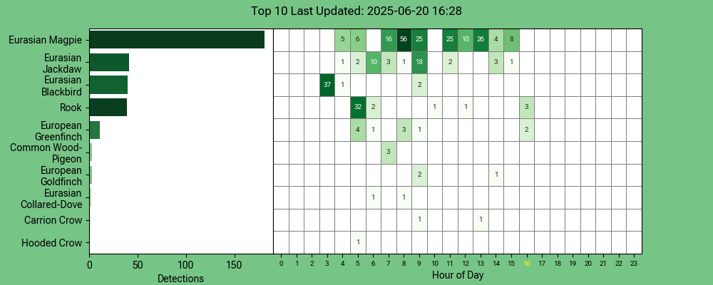 MichaelHowland1's tweet image. #BirdNET-Pi @Raspberry_Pi - #Blackbird out and about before everyone else today!
app.birdweather.com 
@ManxBirdLife @manxnature @BTO_GBW @Natures_Voice #BiosphereIOM #wildlife #isleofman #ManxNature #TeamWilder