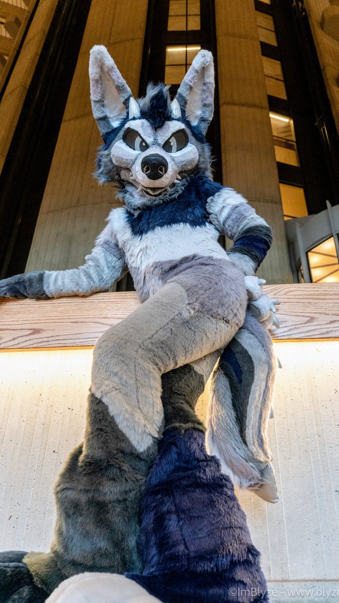 Caution: Tight Curves Ahead

📷 <a href="/ImBlyze/">Blyze Striped Yeendeer</a>