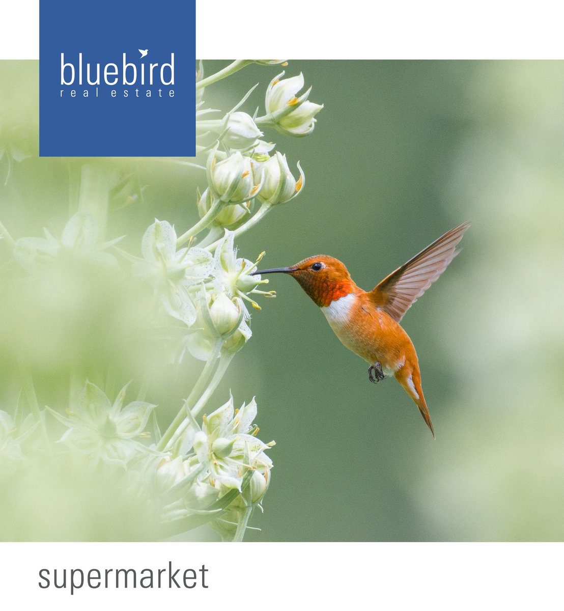 Abundance can be found everywhere in our valley. 🌼

Flip to page 9 of the new Crested Butte Magazine to see this ad out in the wild! ✨

#bringingdreamshome #crestedbutte #gunnison