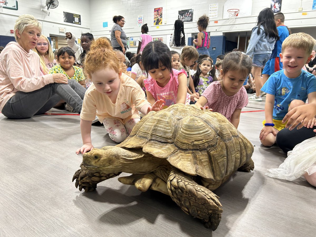What a way to end week 2 of summer school!  🦎 🐍 🐢 Reptile show was a hit!  #BeEvergreen #Ibelonginevergreen