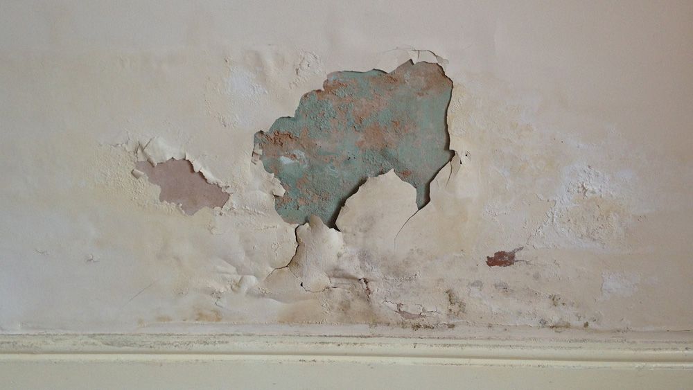 Learn how to stop damp patches on your internal walls: buff.ly/iTvMAMZ #diy #DIYDoctor #homeimprovement #home #construction #remodel #building #homeinspo #homesweethome #renovation #homerenovation #projects #project #ideas #realestate #exteriordesign