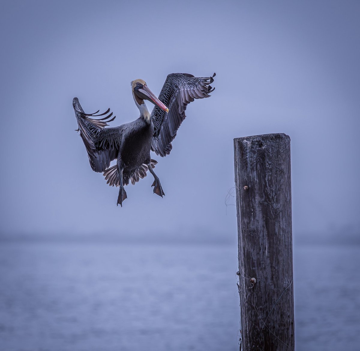 <a href="/nickyperry82/">Nick</a> Great catch ,Nick! 👍🏼
Here’s one for #FlyDay Hope the air brakes hold!