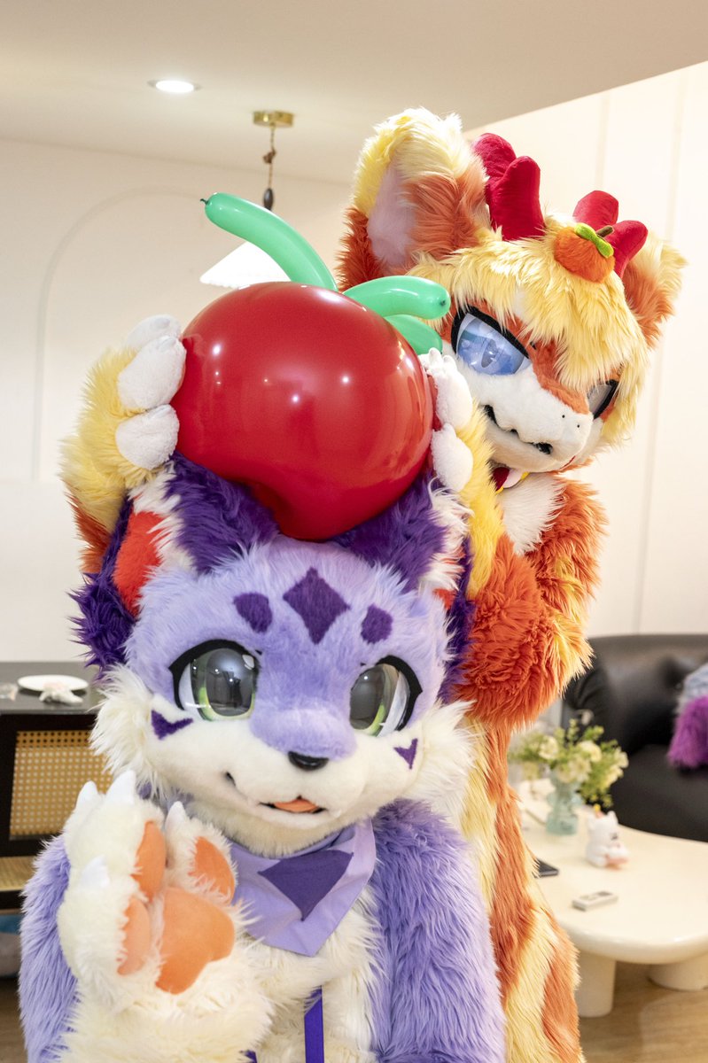 毛五
番茄嫁接紫薯！

🍅：TNT
📷：<a href="/YiLong39420821/">毛绒绒的逸龙</a>