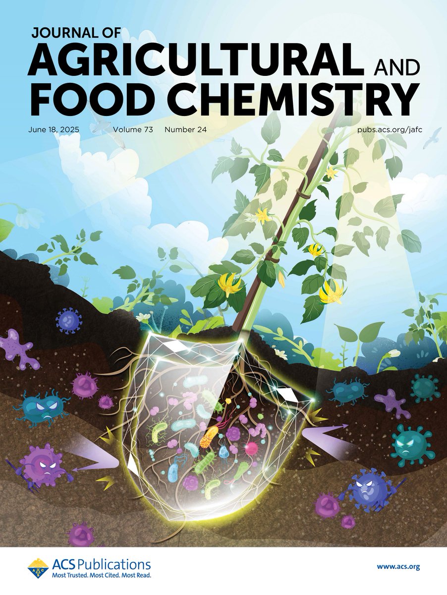 A Review article on advances in #rhizosphere microbiome and rhizosphere immunity effect is featured in this #JAFC cover. Check out the Review at go.acs.org/cL9