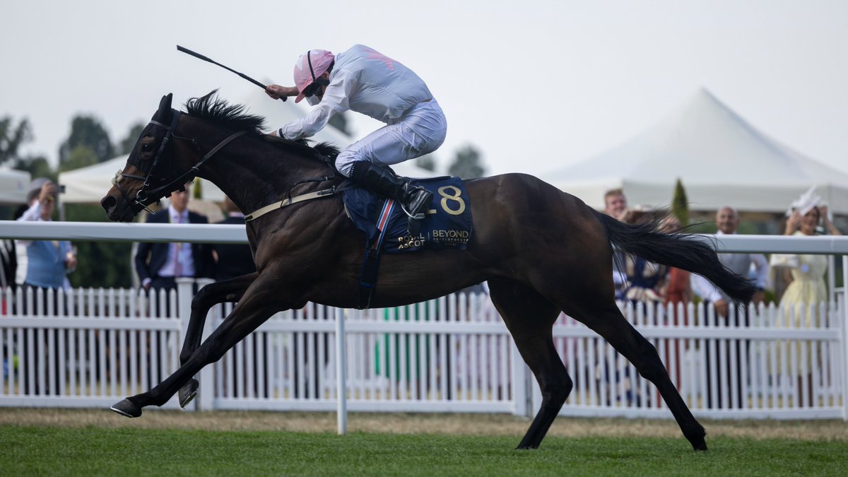 ITM (@irethoroughbred) on Twitter photo ETHICAL DIAMOND (IRE) shines brightest in Duke Of Edinburgh Stakes <a href="/Ascot/">Ascot Racecourse</a> in hands of Ryan Moore for trainer <a href="/WillieMullinsNH/">Willie Mullins</a> & owners HOS Synd... bred in Tipperary by William Kennedy, sired by Awtaad (IRE) <a href="/Derrinstown/">Derrinstown Stud</a> ๐ฎ๐ช๐ฉ๐ฅ ETHICAL DIAMOND (IRE) shines brightest in Duke Of Edinburgh Stakes <a href="/Ascot/">Ascot Racecourse</a> in hands of Ryan Moore for trainer <a href="/WillieMullinsNH/">Willie Mullins</a> & owners HOS Synd... bred in Tipperary by William Kennedy, sired by Awtaad (IRE) <a href="/Derrinstown/">Derrinstown Stud</a> ๐ฎ๐ช๐ฉ๐ฅ