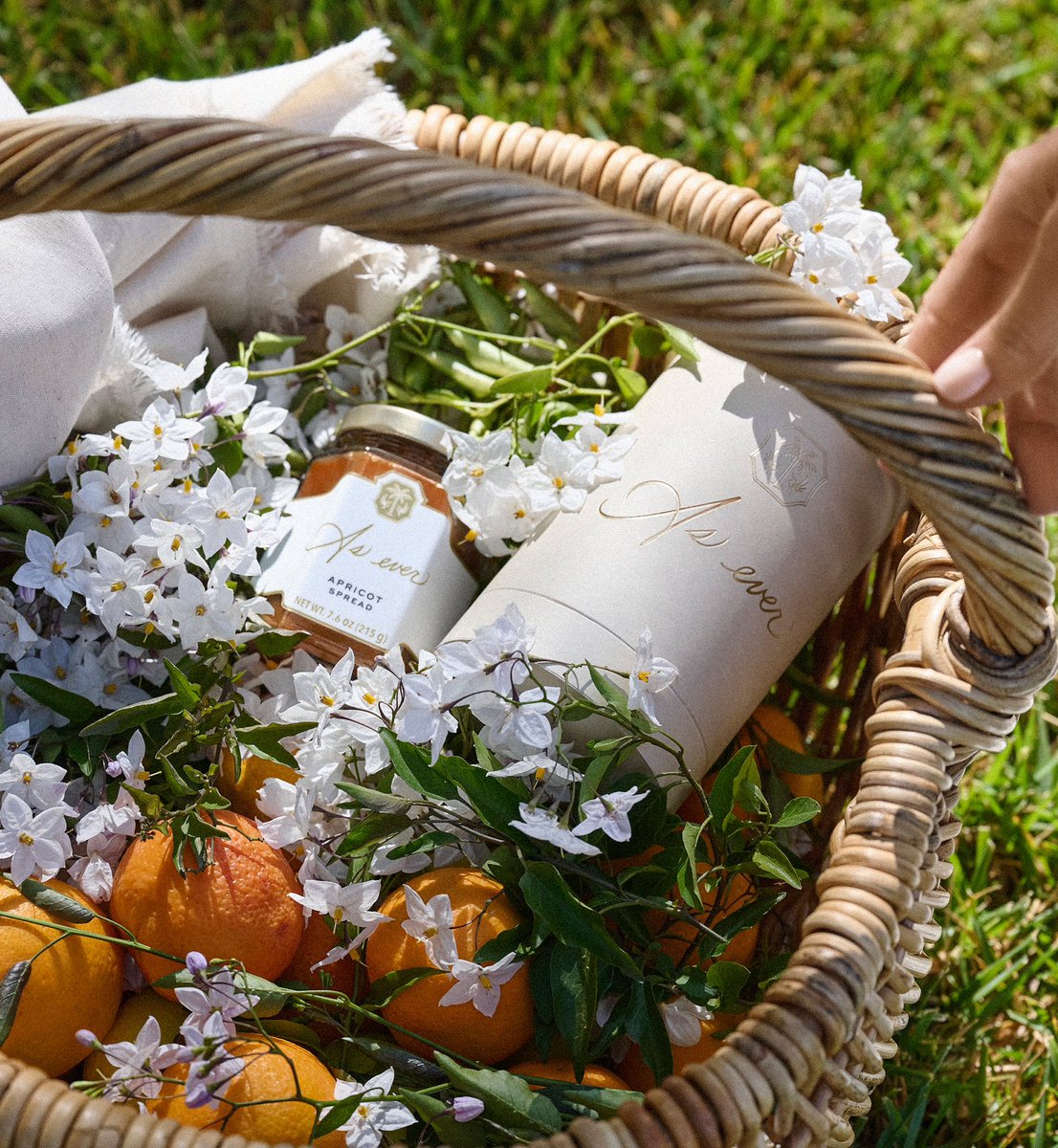 Iris 🦆 tweet media